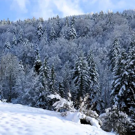 Feriehus Bodenschneidsuiten Gschwandler