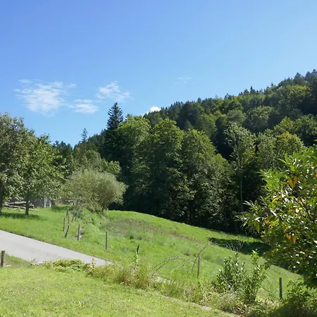 Feriehus Bodenschneidsuiten Gschwandler *